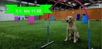 Hoopersepikset 1.1.2026